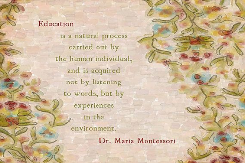 Education is a natural process carried out by the human indivdual, and is acquired not by listening to words, but by experiences in the environment. ~Dr Maria. Montessori